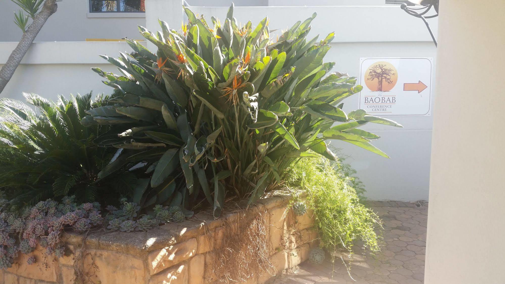 Vila The Baobab Midrand Exteriér fotografie